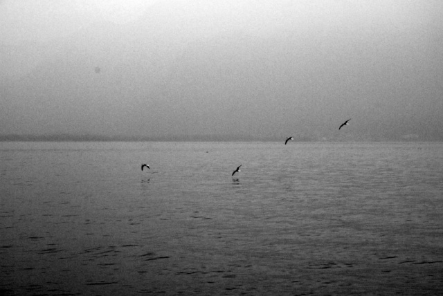 Image hébergée par servimg.com