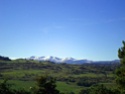 dsc08712.jpg
