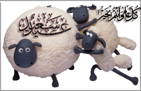 rencontre mabrouk