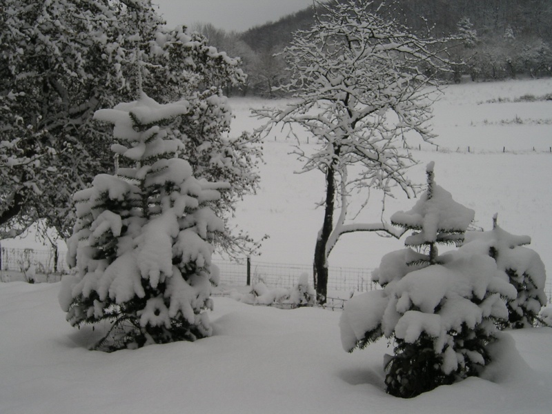 neige_10.jpg