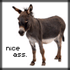 Pin The Tail On The Ass