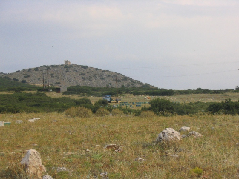 Paveikslėlis