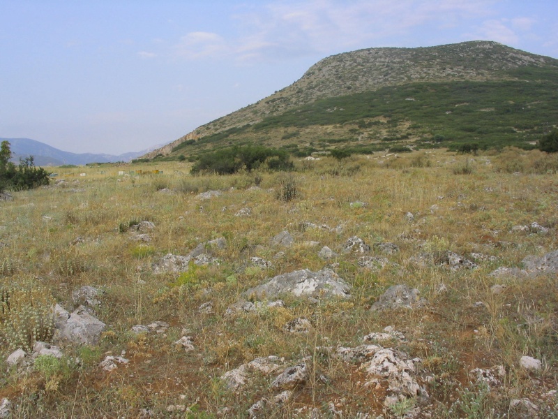 Paveikslėlis