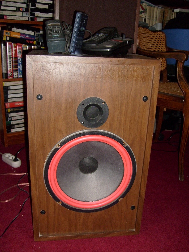cerwin vega hed w10