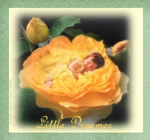 Little Dreamer