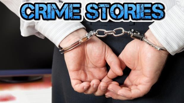 Kriminální případy / Crime Stories (1998)