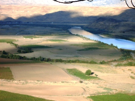 صورة