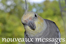 Pas de nouveaux messages Pas de nouveaux messages
