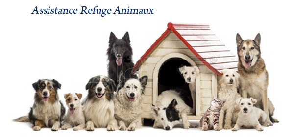 Le forum d’Assistance Refuge Animaux