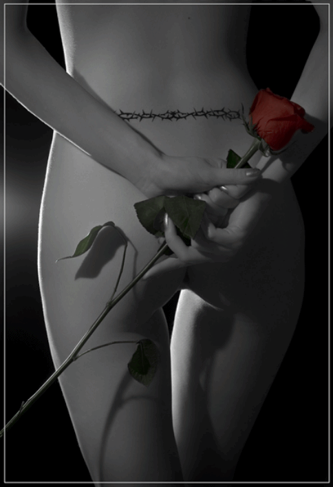 09072810.gif