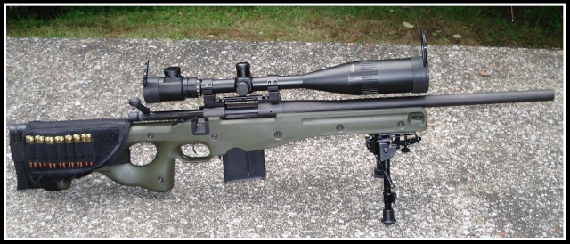 Remington+700+sps+aac+sd