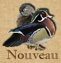 Nouveaux messages