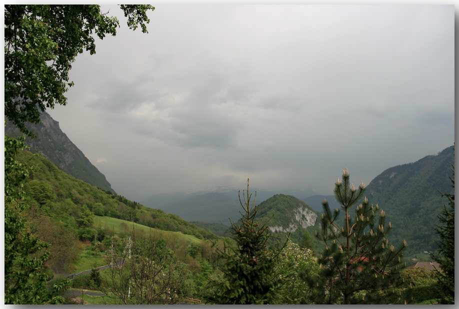 img_1811.jpg