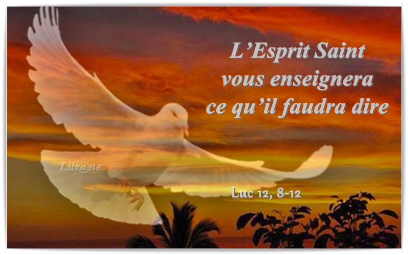 L'Esprit Saint vous enseignera ce qu'il faudra dire