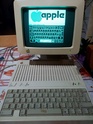apple_10.jpg