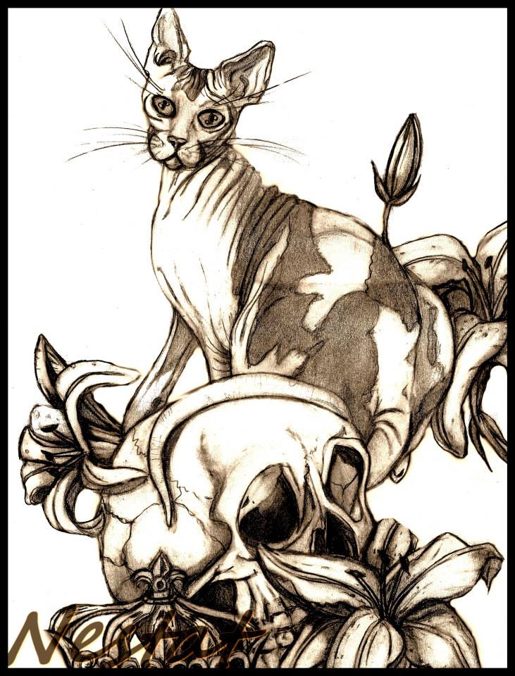dessin chat crane