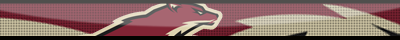 Arizona Coyotes