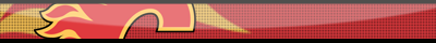 Calgary Flames