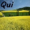 Qui est en ligne ?
