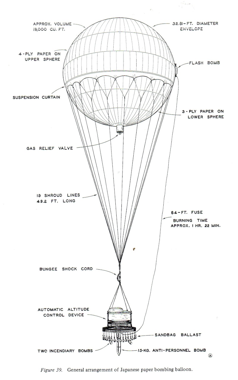 bo910.jpg