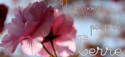 Image hébergée par servimg.com