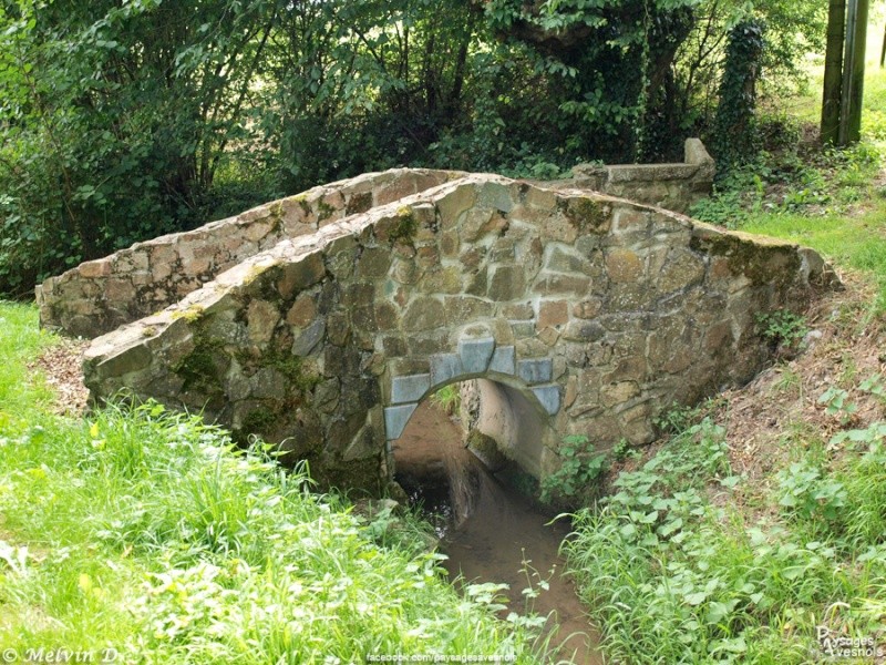 p8084024