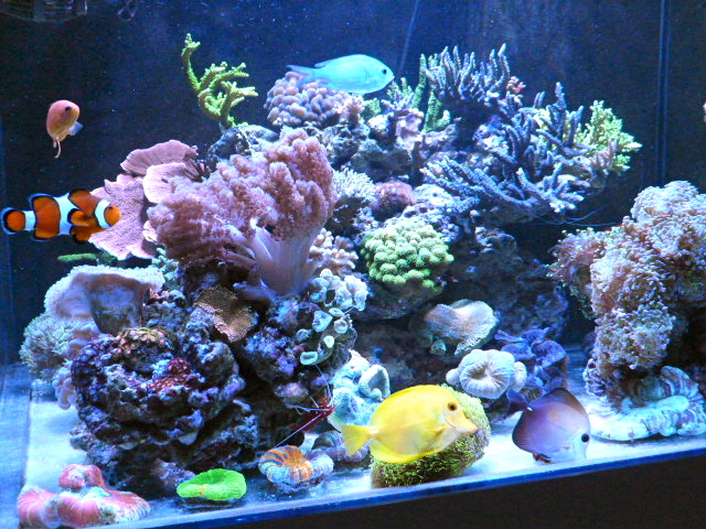 p1020932.jpg