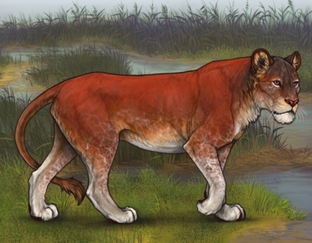 cub_3410.jpg