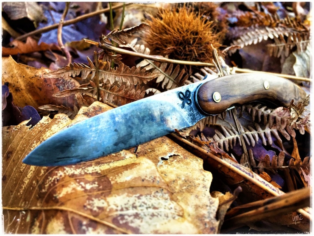 toda2279.jpg