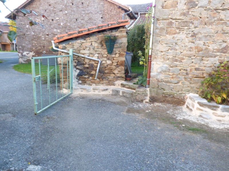 p1030326.jpg