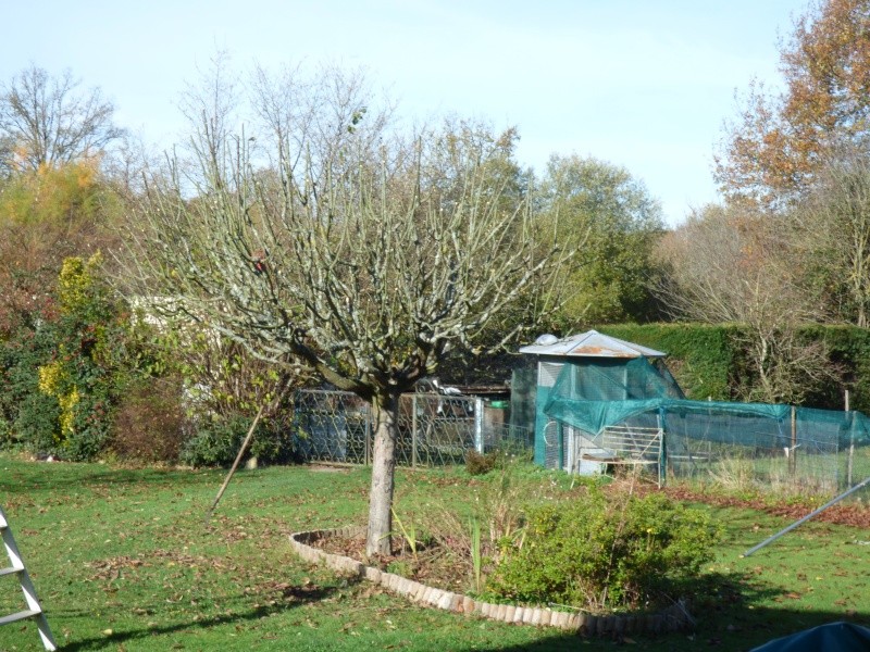p1030343.jpg
