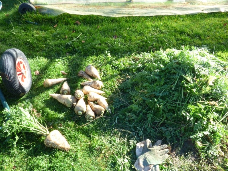 p1030416.jpg