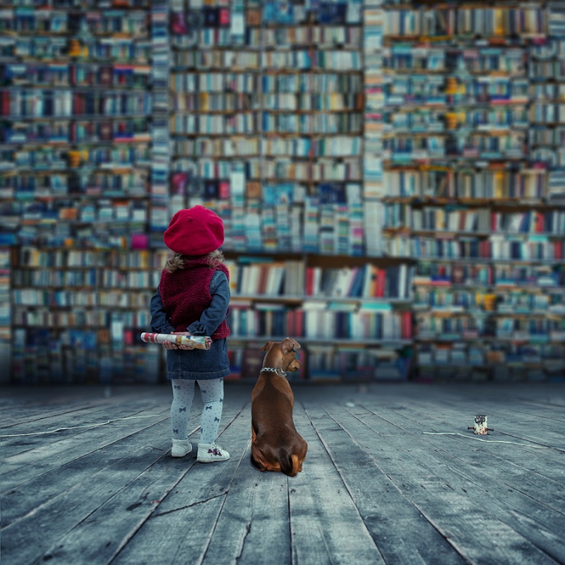 livres10.jpg