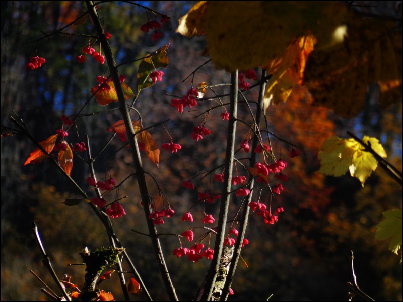 Sites de rencontre qui fonctionnent photo 3