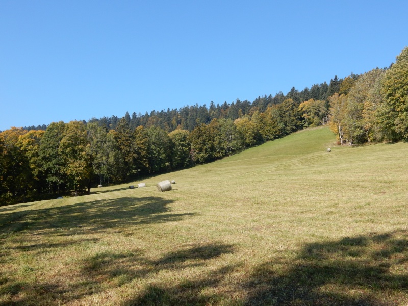 Rencontre jura suisse