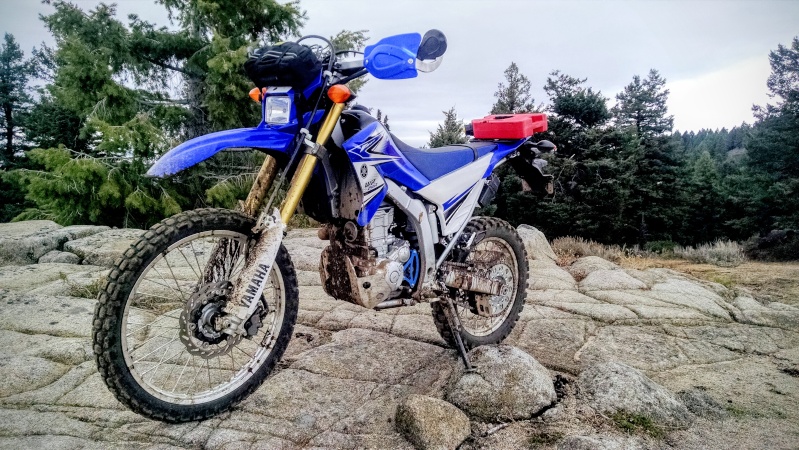 Procycle wr250r deals