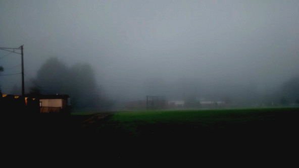 fog110.jpg