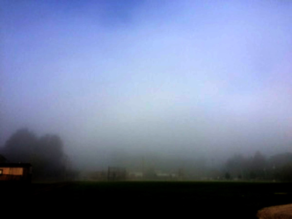 fog211.jpg